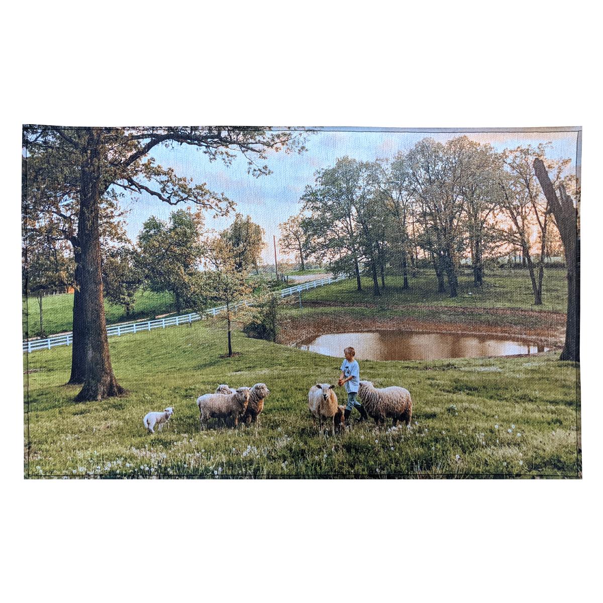 20″ X 31″ Indoor Rug