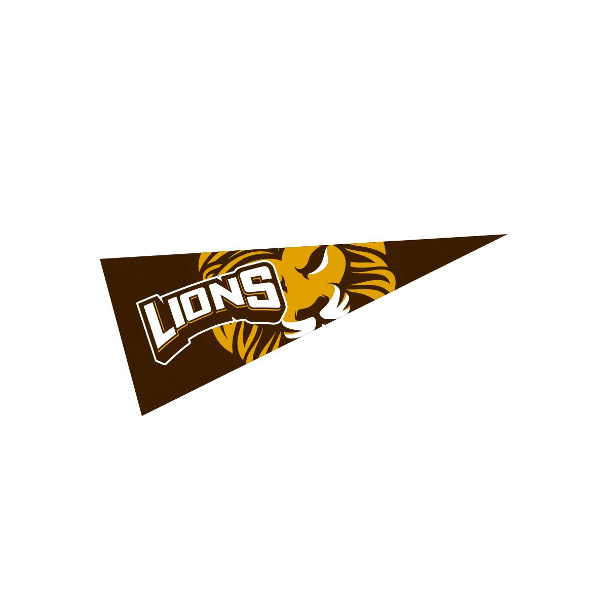 4″ x 10″ Pennant